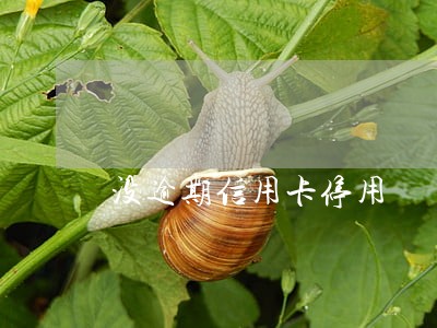 没逾期信用卡停用 没逾期信用卡停用