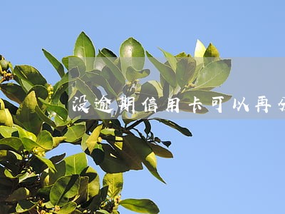 没逾期信用卡可以再分期吗 没逾期信用卡可以再分期吗