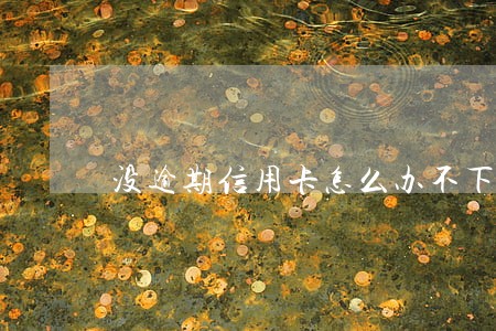 没逾期信用卡怎么办不下来