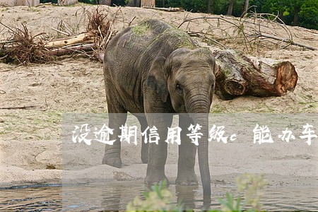 没逾期信用等级c能办车贷吗