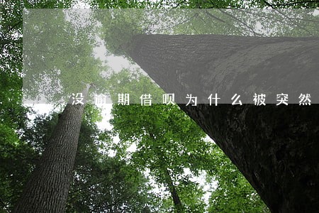 没逾期借呗为什么被突然关闭 没逾期借呗为什么被突然关闭
