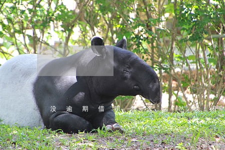 没逾期借呗怎么突然关闭了 没逾期借呗怎么突然关闭了