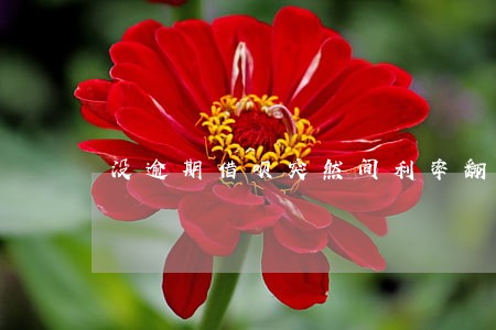 没逾期借呗突然间利率翻倍 没逾期借呗突然间利率翻倍