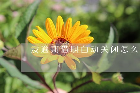 没逾期借呗自动关闭怎么恢复 没逾期借呗自动关闭怎么恢复