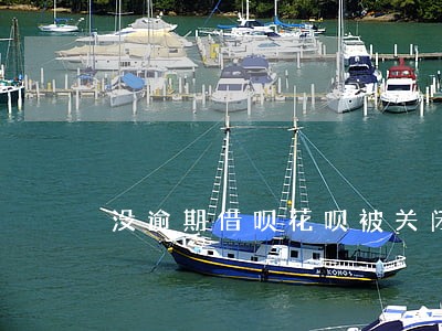 没逾期借呗花呗被关闭 没逾期借呗花呗被关闭