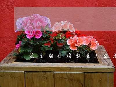 没逾期借呗额度怎么没有了 没逾期借呗额度怎么没有了