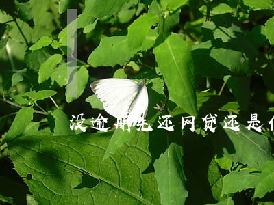 没逾期先还网贷还是信用卡 没逾期先还网贷还是信用卡