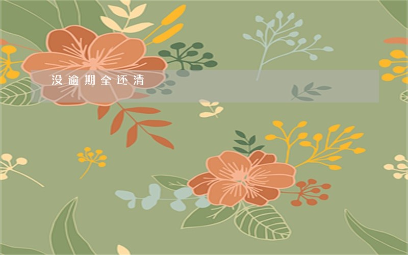 没逾期全还清 没逾期全还清