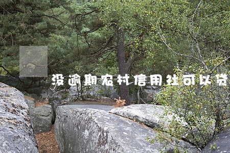 没逾期农村信用社可以贷款吗 没逾期农村信用社可以贷款吗