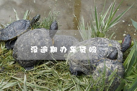 没逾期办车贷吗 没逾期办车贷吗
