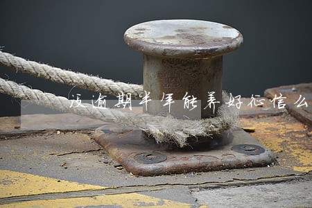 没逾期半年能养好征信么 没逾期半年能养好征信么