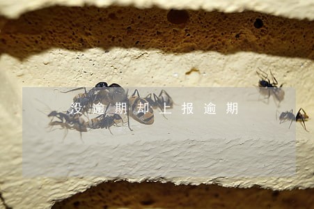 没逾期却上报逾期