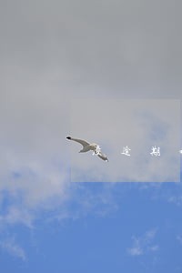 没逾期却接到催款电话 没逾期却接到催款电话