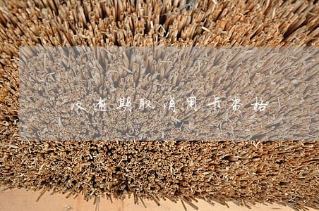 没逾期取消用卡资格 没逾期取消用卡资格