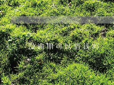 没逾期可以借钱吗 没逾期可以借钱吗