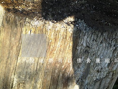 没逾期可以债务重组吗 没逾期可以债务重组吗