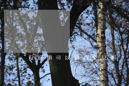 没逾期可以协商免息吗 没逾期可以协商免息吗