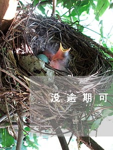 没逾期可以协商分期5年吗 没逾期可以协商分期5年吗