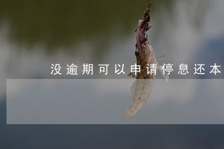 没逾期可以申请停息还本吗 没逾期可以申请停息还本吗