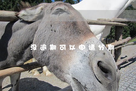 没逾期可以申请分期 没逾期可以申请分期