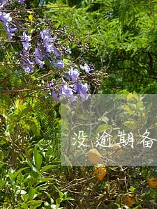 没逾期备用金怎么给关了 没逾期备用金怎么给关了