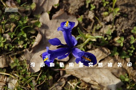 没逾期备用金突然被关闭了 没逾期备用金突然被关闭了