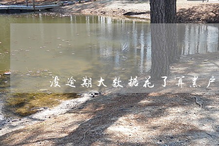 没逾期大数据花了算黑户吗 没逾期大数据花了算黑户吗