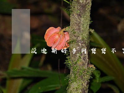 没逾期好多网贷贷不了怎么办