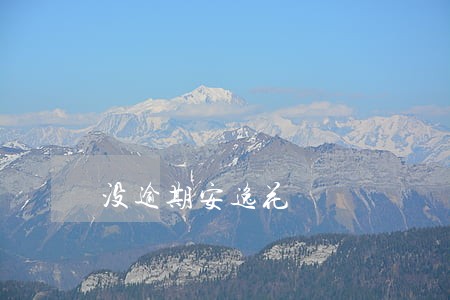 没逾期安逸花 没逾期安逸花