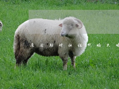 没逾期对征信影响大吗 没逾期对征信影响大吗