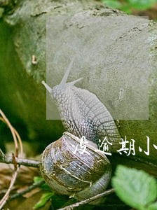 没逾期小白信用一直降 没逾期小白信用一直降