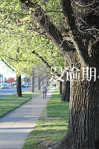 没逾期小米金融没额度了 没逾期小米金融没额度了