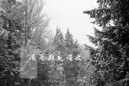 没逾期就催收 没逾期就催收