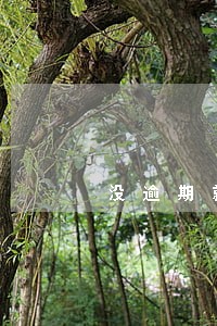 没逾期就开催收正规吗 没逾期就开催收正规吗