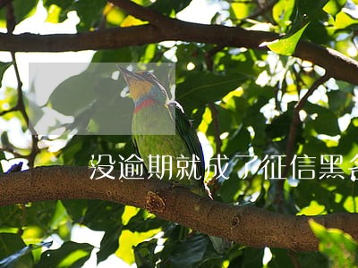 没逾期就成了征信黑名单 没逾期就成了征信黑名单