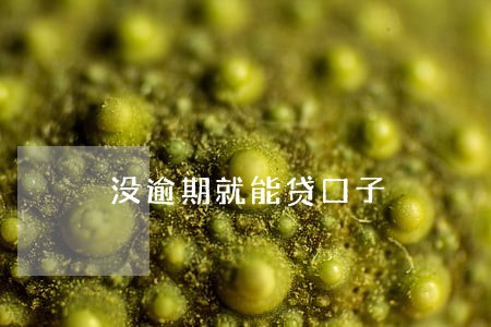 没逾期就能贷口子 没逾期就能贷口子
