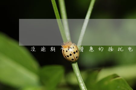 没逾期平安普惠的骚扰电话 没逾期平安普惠的骚扰电话