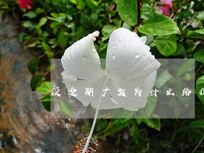 没逾期广发为什么给我打电话 没逾期广发为什么给我打电话