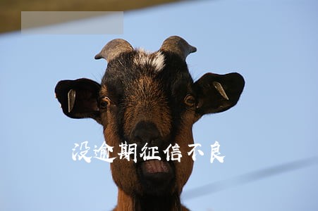 没逾期征信不良 没逾期征信不良