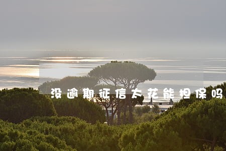 没逾期征信太花能担保吗 没逾期征信太花能担保吗