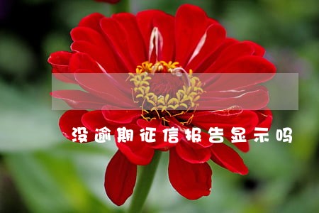 没逾期征信报告显示吗