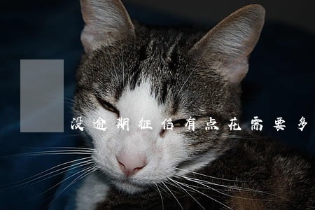没逾期征信有点花需要多久恢复 没逾期征信有点花需要多久恢复