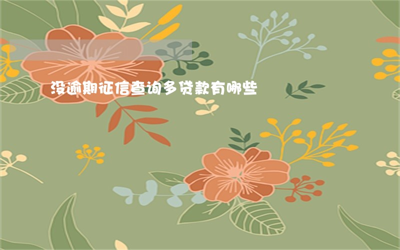 没逾期征信查询多贷款有哪些 没逾期征信查询多贷款有哪些