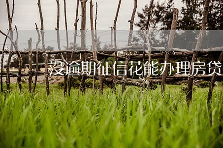 没逾期征信花能办理房贷吗 没逾期征信花能办理房贷吗