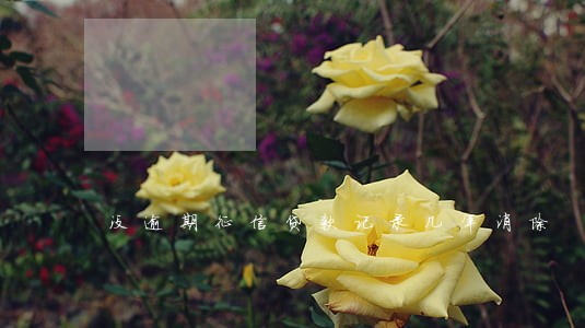 没逾期征信贷款记录几年消除 没逾期征信贷款记录几年消除
