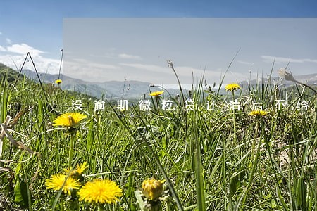 没逾期微粒贷还清后不给借了 没逾期微粒贷还清后不给借了