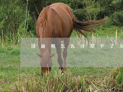 没逾期怎么分期不了买手机 没逾期怎么分期不了买手机