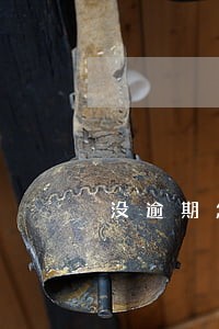 没逾期怎么有催收电话 没逾期怎么有催收电话