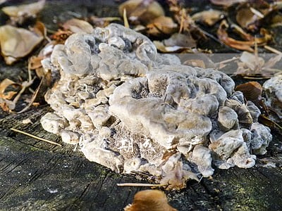 没逾期成黑户 没逾期成黑户