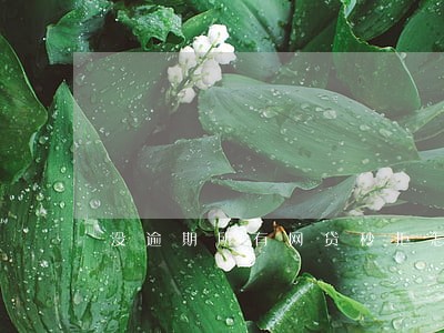 没逾期所有网贷秒拒怎么办 没逾期所有网贷秒拒怎么办